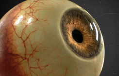 Maya制作真實眼球教程Creating a Realistic Human Eye in CG