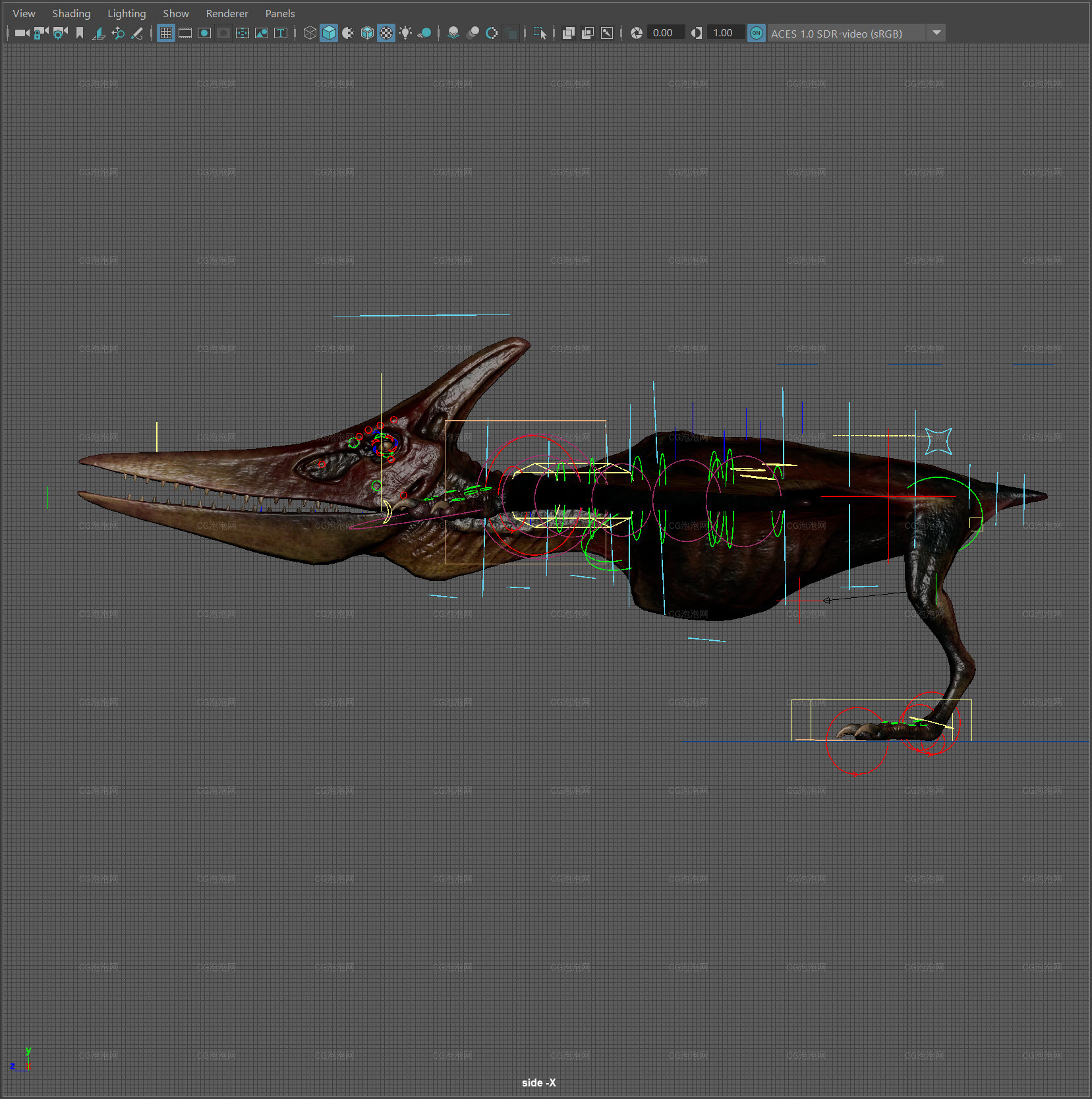 羽齒龍恐龍Maya模型Pteranodon (flying dinosaur)