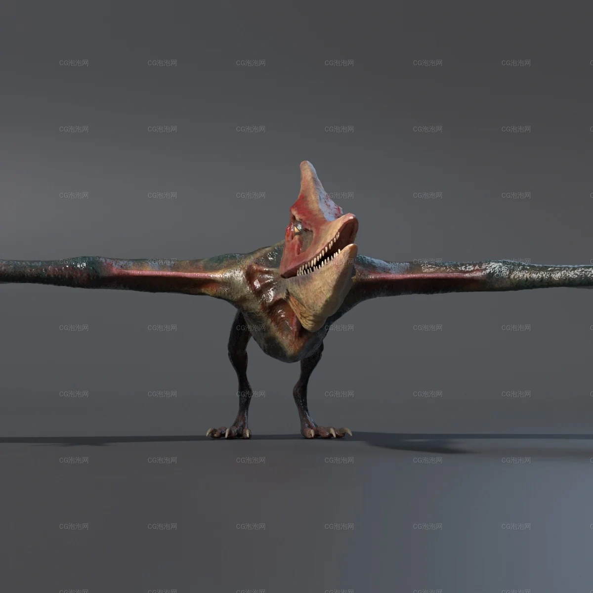 羽齒龍恐龍Maya模型Pteranodon (flying dinosaur)