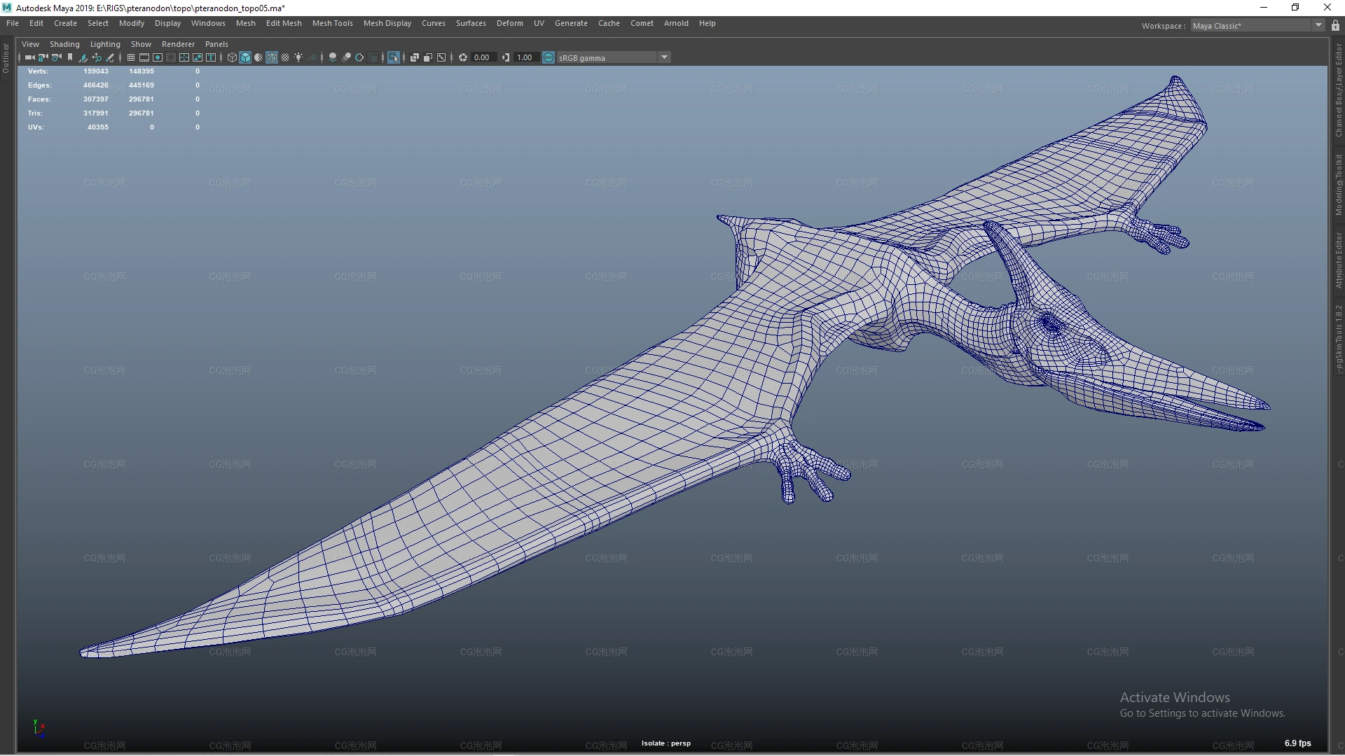 羽齒龍恐龍Maya模型Pteranodon (flying dinosaur)