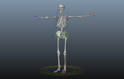 一副骨架骷髏人還帶了綁定Maya模型
